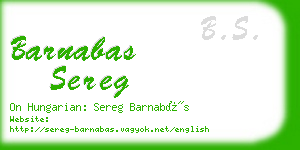 barnabas sereg business card